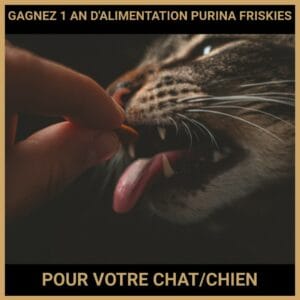 CONCOURS : GAGNEZ 1 AN D'ALIMENTATION PURINA FRISKIES POUR VOTRE CHAT CHIEN