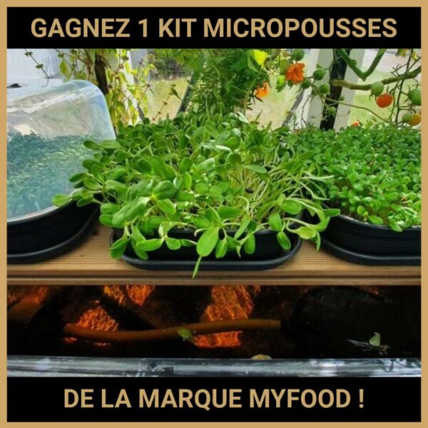 CONCOURS : GAGNEZ 1 KIT MICROPOUSSES DE LA MARQUE MYFOOD !