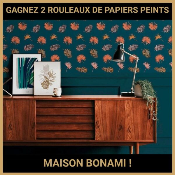 CONCOURS : GAGNEZ 2 ROULEAUX DE PAPIERS PEINTS MAISON BONAMI !