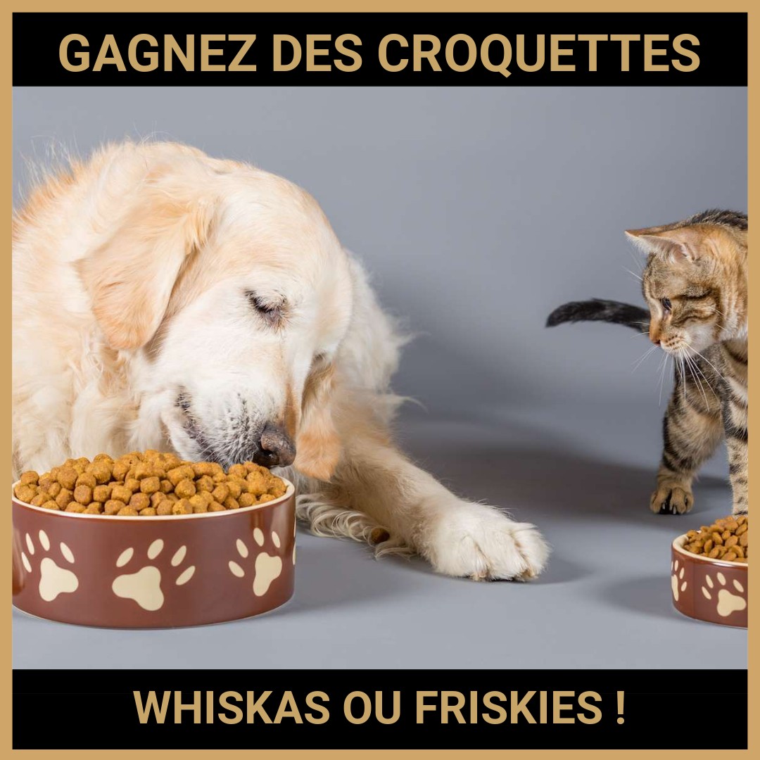 CONCOURS : GAGNEZ DES CROQUETTES WHISKAS OU FRISKIES !