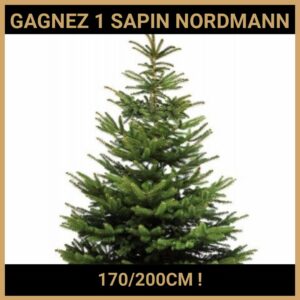 CONCOURS : GAGNEZ 1 SAPIN NORDMANN 170-200CM !