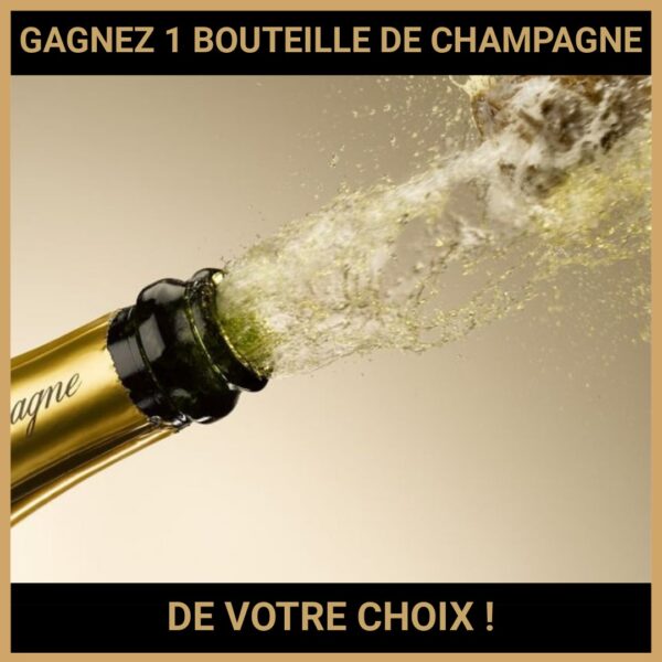 CONCOURS : GAGNEZ 1 BOUTEILLE DE CHAMPAGNE DE VOTRE CHOIX !