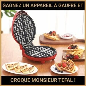 JEU CONCOURS GRATUIT POUR GAGNER UN APPAREIL À GAUFRE ET CROQUE MONSIEUR TEFAL  !