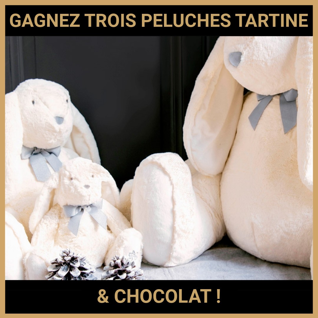 JEU CONCOURS GRATUIT POUR GAGNER TROIS PELUCHES TARTINE & CHOCOLAT !