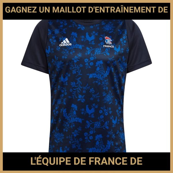 JEU CONCOURS GRATUIT POUR GAGNER UN MAILLOT D'ENTRAÎNEMENT DE L'ÉQUIPE DE FRANCE DE HANDBALL !