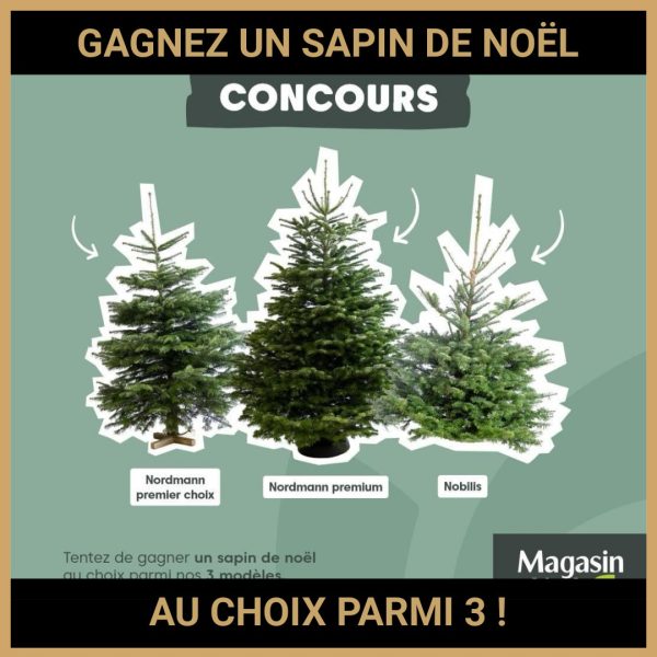 JEU CONCOURS GRATUIT POUR GAGNER UN SAPIN DE NOËL AU CHOIX PARMI 3 !