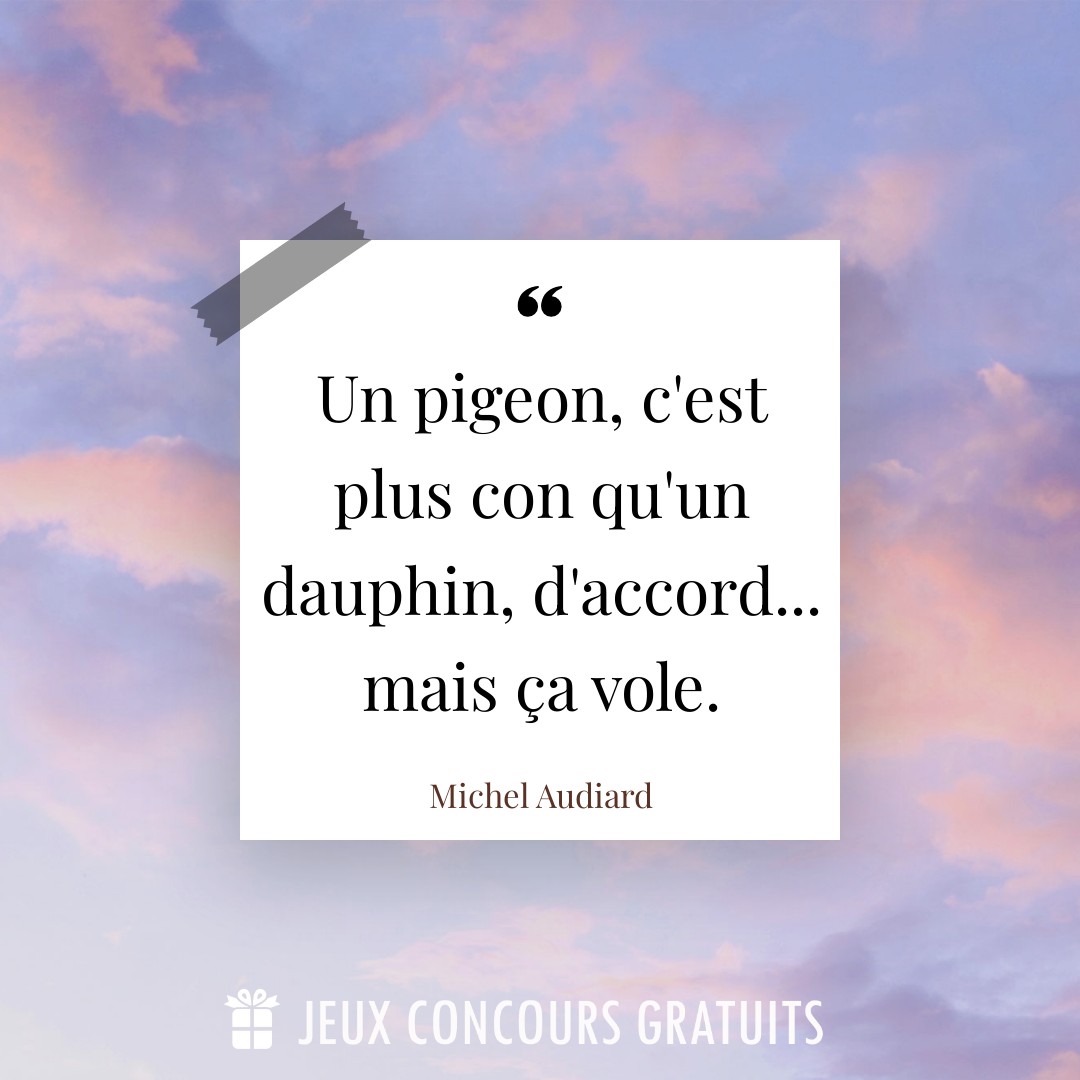 Citation Michel Audiard : Un pigeon, c'est plus con qu'un dauphin, d'accord... mais ça vole....