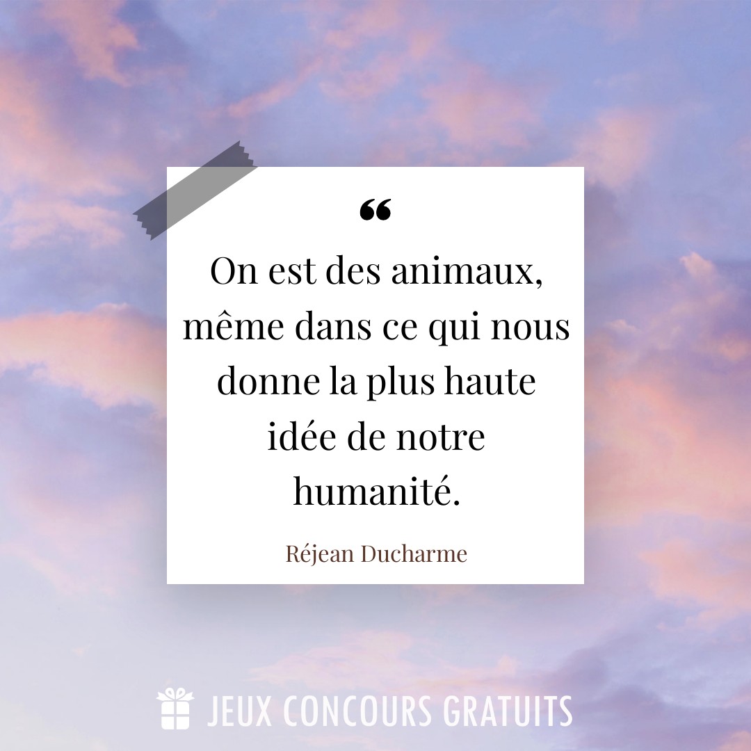 Citation Réjean Ducharme : On est des animaux, même dans ce qui nous donne la plus haute idée de notre humanité....