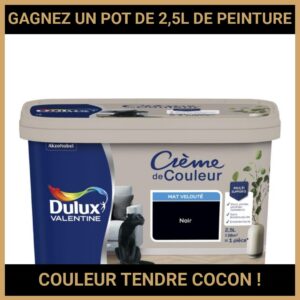 JEU CONCOURS GRATUIT POUR GAGNER UN POT DE 2,5L DE PEINTURE COULEUR TENDRE COCON !