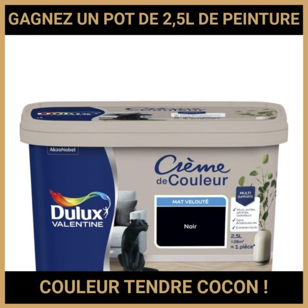 JEU CONCOURS GRATUIT POUR GAGNER UN POT DE 2,5L DE PEINTURE COULEUR TENDRE COCON ! JEU CONCOURS GRATUIT POUR GAGNER UN POT DE 2,5L DE PEINTURE COULEUR TENDRE COCON !