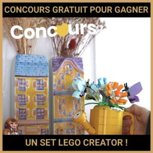 JEU CONCOURS GRATUIT POUR GAGNER UN SET LEGO CREATOR !