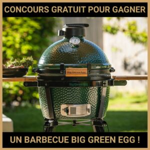 JEU CONCOURS GRATUIT POUR GAGNER UN BARBECUE BIG GREEN EGG  !
