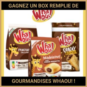 JEU CONCOURS GRATUIT POUR GAGNER UN BOX REMPLIE DE GOURMANDISES WHAOU! !