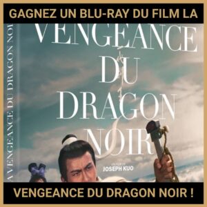 JEU CONCOURS GRATUIT POUR GAGNER UN BLU-RAY DU FILM LA VENGEANCE DU DRAGON NOIR !