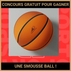 JEU CONCOURS GRATUIT POUR GAGNER UNE SMOUSSE BALL  !