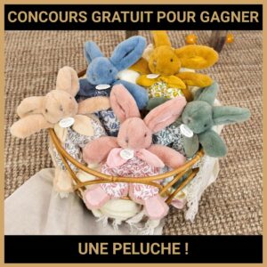 JEU CONCOURS GRATUIT POUR GAGNER UNE PELUCHE !