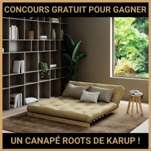 JEU CONCOURS GRATUIT POUR GAGNER UN CANAPÉ ROOTS DE KARUP !